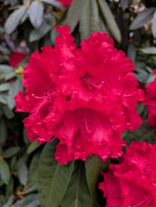 Anita KIss, PhD - Spiritual Counsellor