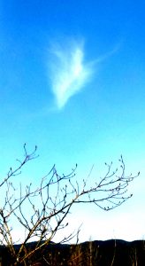 Anita Kiss, PhD - Spiritual Counselling