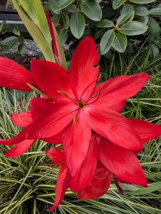 Anita Kiss, PhD - Spiritual Counsellor