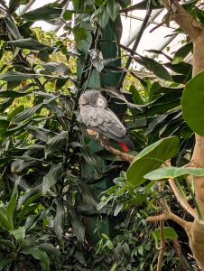 Anita Kiss, PhD - Spiritual Counsellor