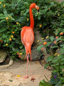 Anita Kiss, PhD - Spiritual Counsellor