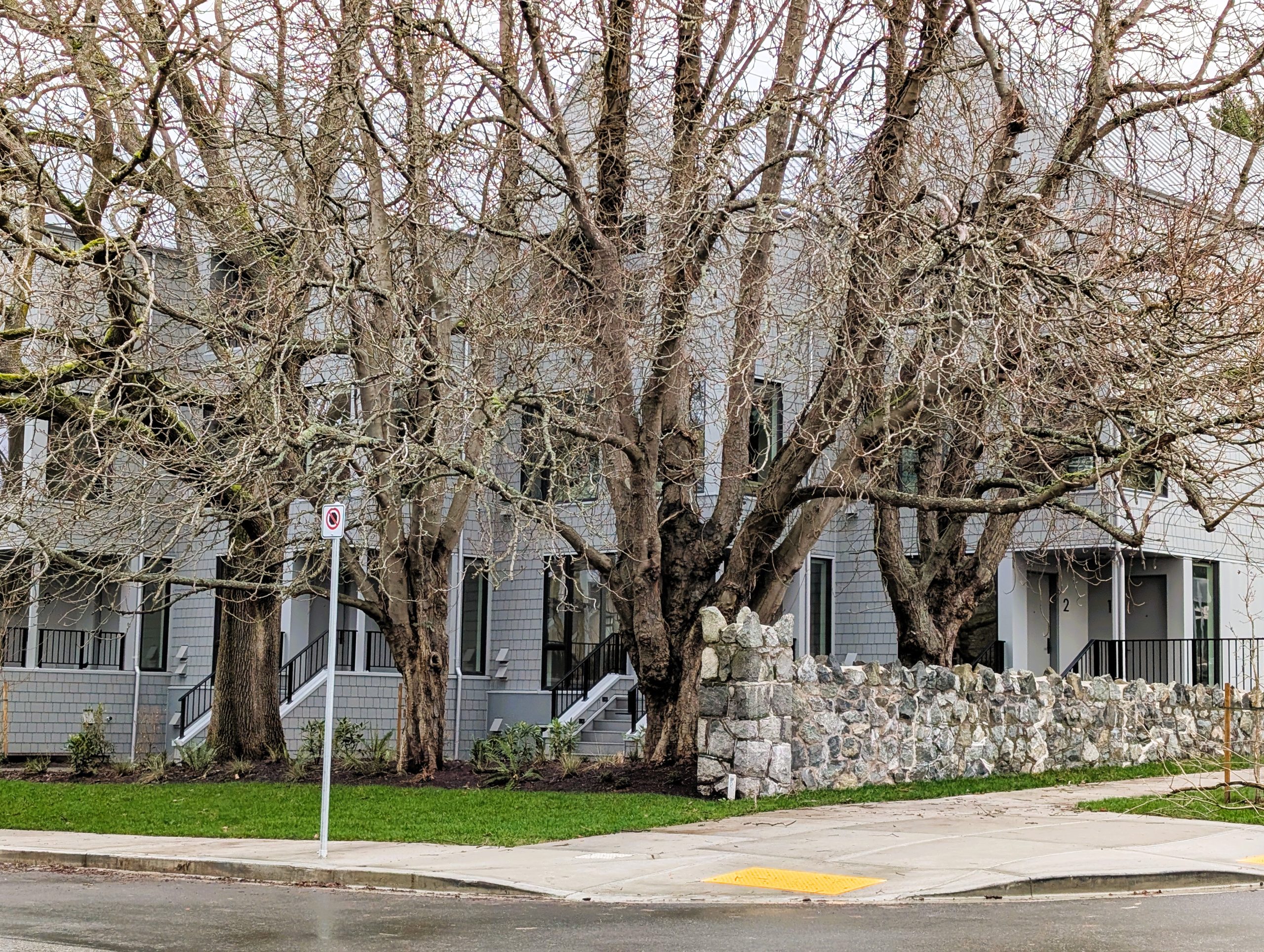 Anita Kiss, PhD - Spiritual Counsellor